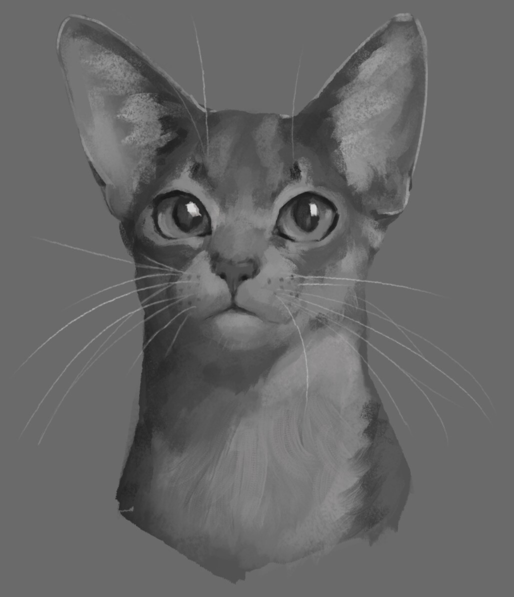 Kitten